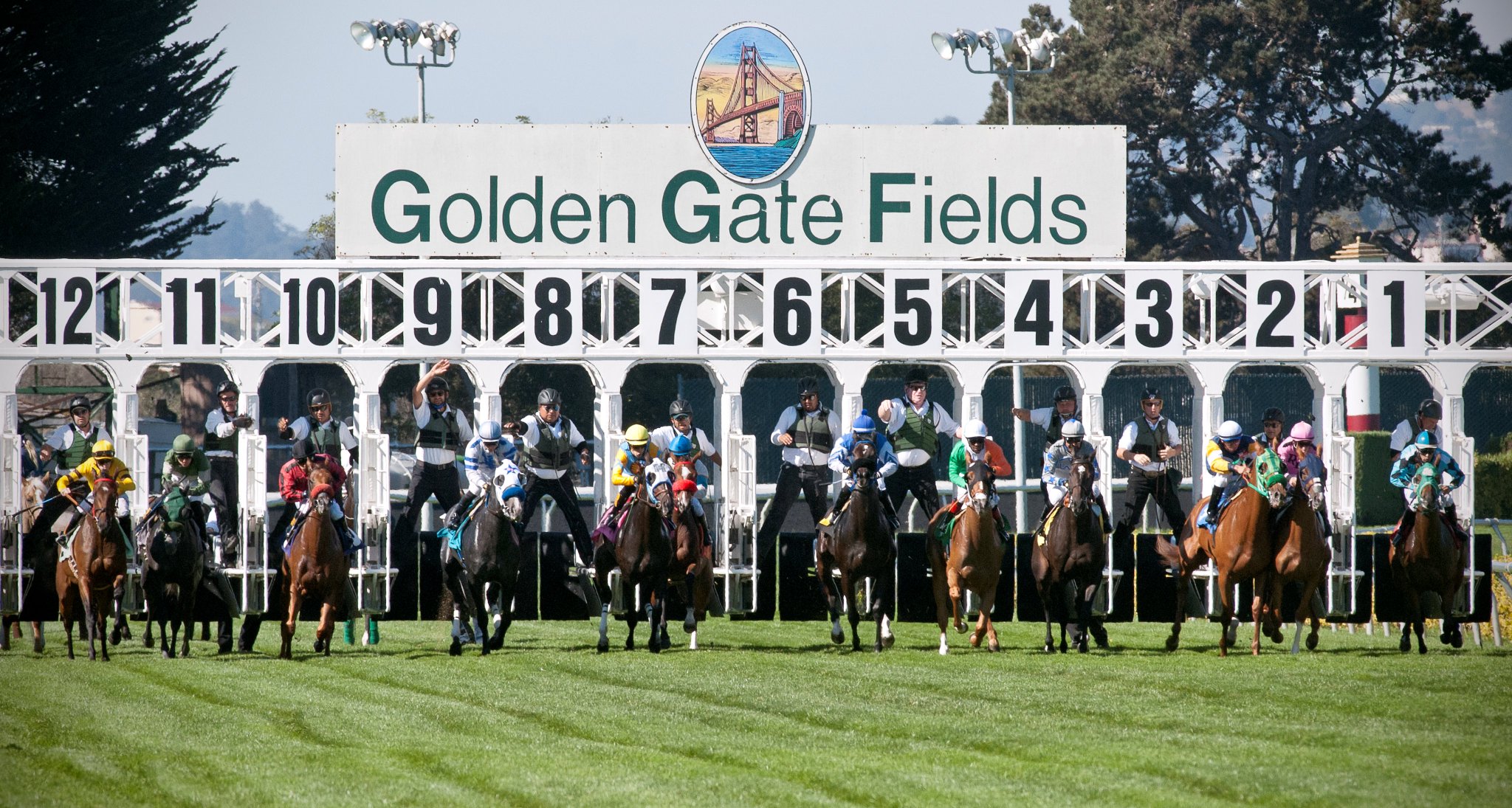 Golden gate race track results